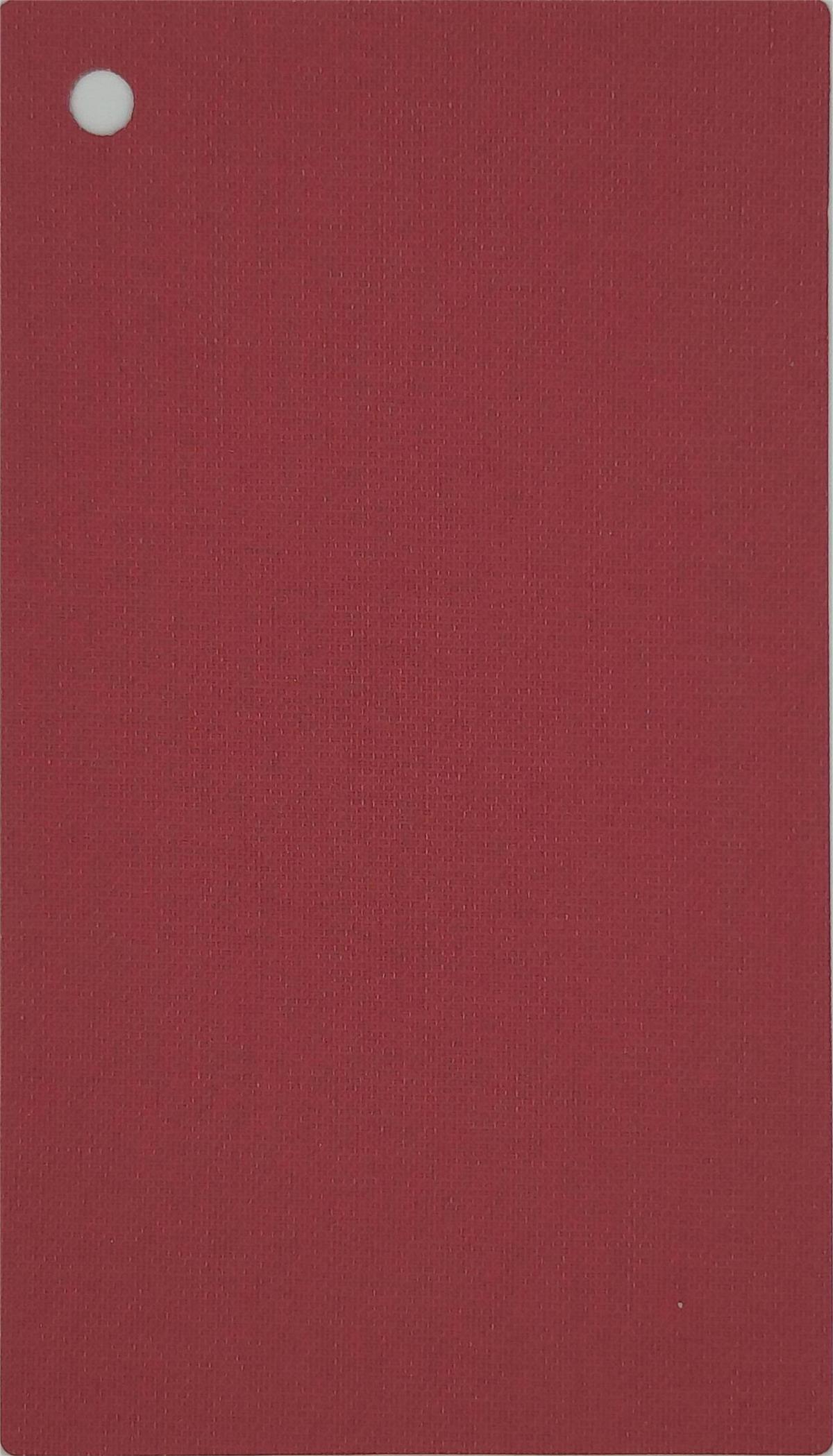 2010 - 576
